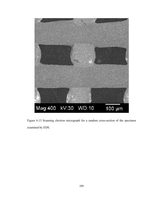 DESIGN, ASSEMBLY AND CHARACTERIZATION OF COMPOSITE ...