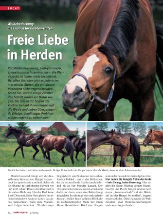 Freie Liebe in Herden Freie Liebe in Herden - Focus-on-Horses