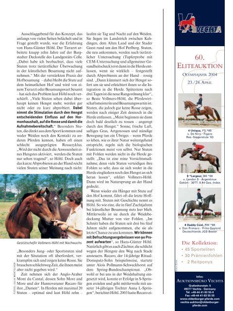 Freie Liebe in Herden Freie Liebe in Herden - Focus-on-Horses