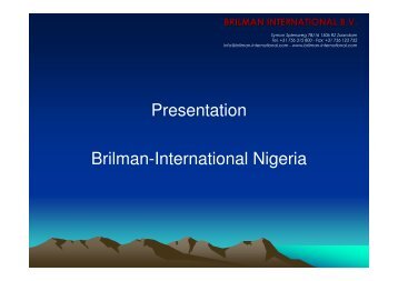 Brilman Constructions Ltd. - Brilman International