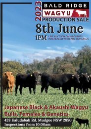 BALD RIDGE WAGYU 2023 Production Sale