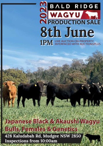 BALD RIDGE WAGYU 2023 Production Sale