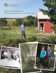 BLC Newsletter_2017 Summer-Fall