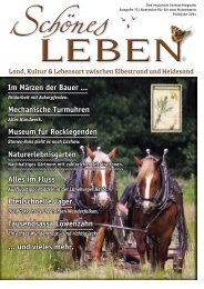 00  F 21-web neuer Titel