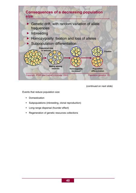 Basic concepts of population genetics - Bioversity International