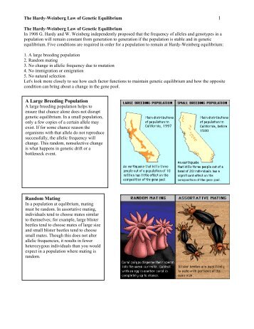 a lab report evolution and the hardy weinberg principle Ap bio hardy weinberg lab wait just a minute here hardy-weinberg principle evolution evolutionary biology heredity hardy-weinberg how can mathematical models be used to investigate the relationship between allele frequencies in populations of organisms and evolutionary change. a lab report evolution and the hardy weinberg principle Ap bio hardy weinberg lab wait just a minute here hardy-weinberg principle evolution evolutionary biology heredity hardy-weinberg how can mathematical models be used to investigate the relationship between allele frequencies in populations of organisms and evolutionary change.