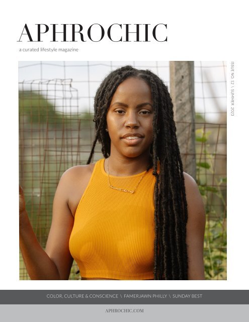 AphroChic Magazine: Issue No. 12     