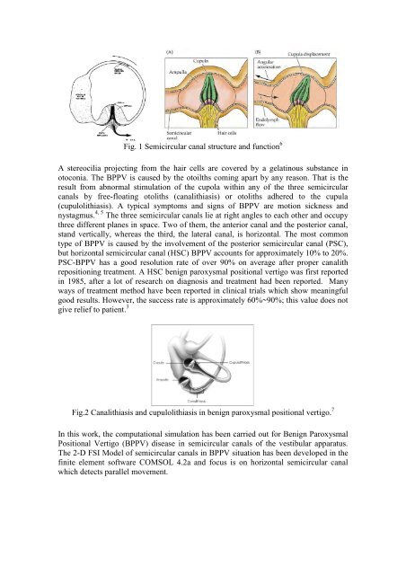 ARUP; ISBN: 978-0-9562121-5-3 - CMBBE 2012 - Cardiff University