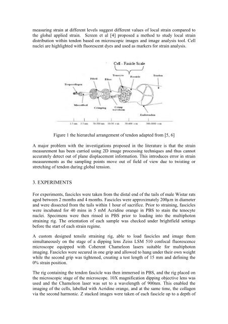 ARUP; ISBN: 978-0-9562121-5-3 - CMBBE 2012 - Cardiff University