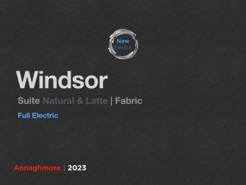 WINDSOR ELECTRIC MODELS 