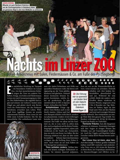 City-Magazin-Ausgabe-2023-06-Steyr