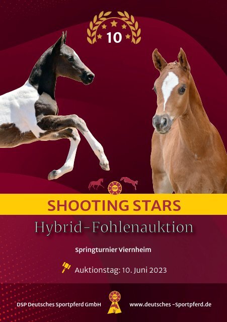 Shooting Stars - Hybrid-Fohlenauktion am 10. Juni 2023 in Viernheim
