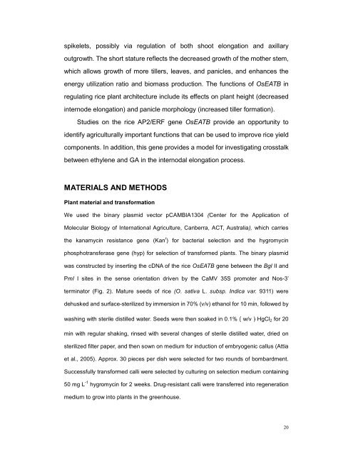 Rice ERF OsEATB restricts GA biosynthesis - Plant Physiology