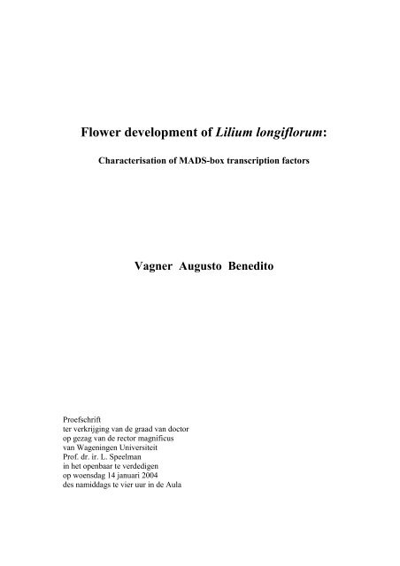 Flower development of Lilium longiflorum - The Lilium information ...