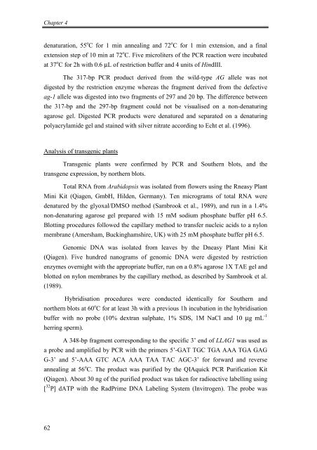 Flower development of Lilium longiflorum - The Lilium information ...