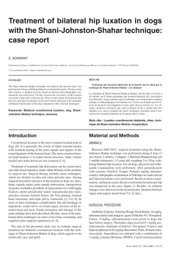 Treatment of bilateral hip luxation in dogs