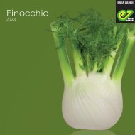 Brochure Finocchio 2023 
