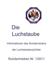 Rundschreiben 1/2011.pdf - SV der Luchstaubenzüchter