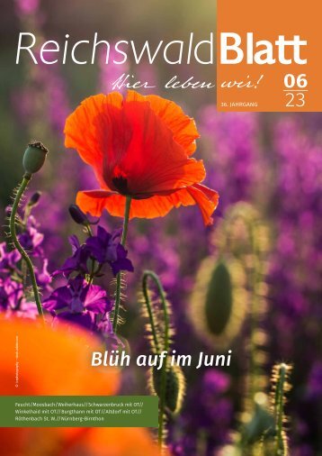 Reichswaldblatt - Feucht/Schwarzenbruck/Winkelhaid - Juni 2023