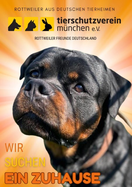 Rottweiler Spezial - Listenhunde aus dem Tierheim München