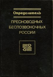 B. - Ephemeroptera