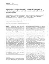 Sucrose (JrSUT1) and hexose (JrHT1 and JrHT2 ... - Tree Physiology