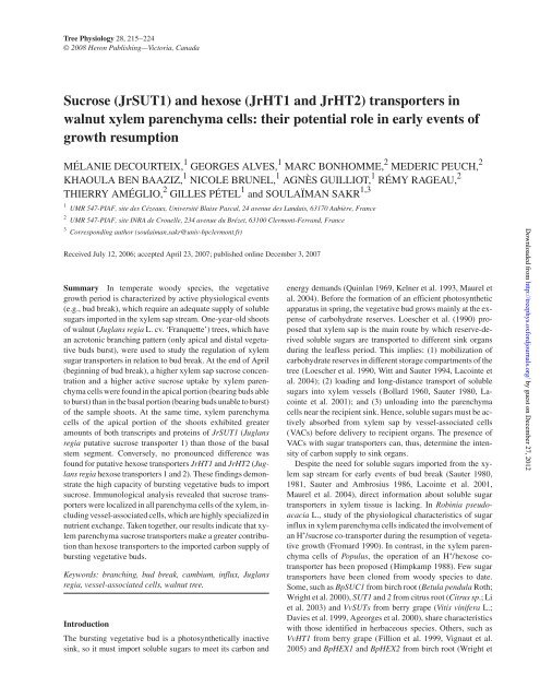 Sucrose (JrSUT1) and hexose (JrHT1 and JrHT2 ... - Tree Physiology