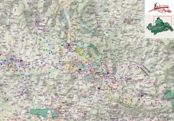 16 MTB-Touren zwischen Schwarzwihrberg, Hohenbogen und Cerchov