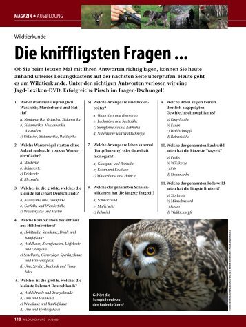 Die kniffligsten Fragen ... - Wild und Hund