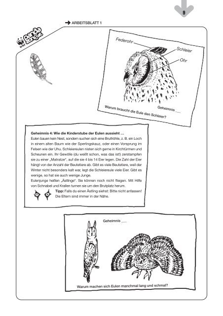 Unterrichtsmaterial: Kauz & Co - WWF Österreich