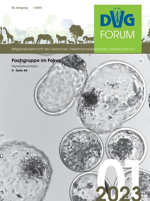 DVG FORUM 01/2023