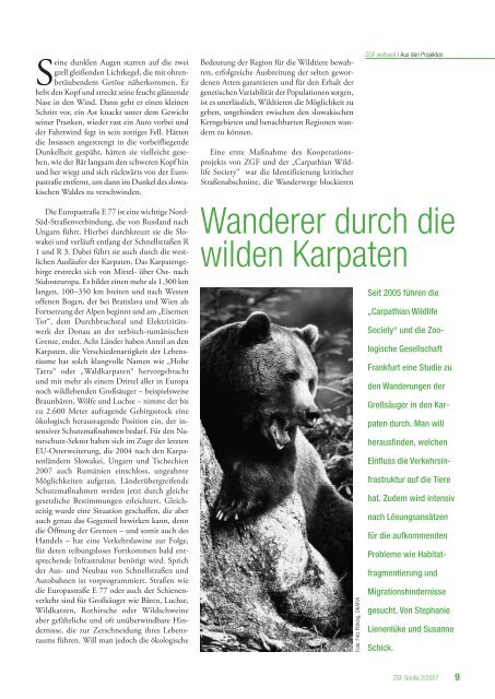 Artikel zum Projekte aus dem ZGF-GORILLA 2 - Zoologische ...