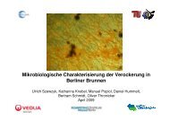 Fe3+ Fe2+ Reduktion Oxidation Eisenbakterien