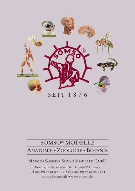 Somso Katalog 2023