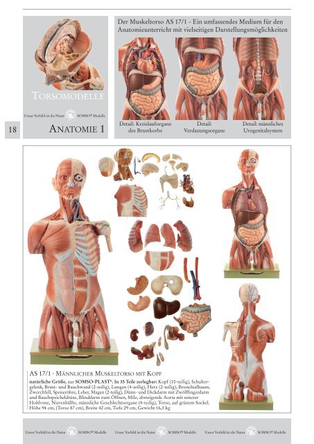 Somso Katalog 2023