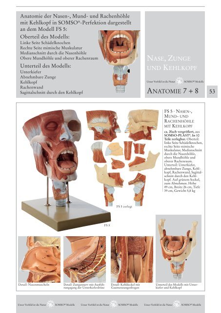 Somso Katalog 2023