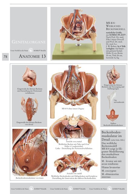 Somso Katalog 2023