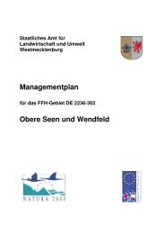 Managementplan Obere Seen und Wendfeld - StÄLU