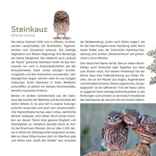 Voelkel, Naturwunder Streuobstwiese (Booklet)