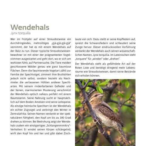 Voelkel, Naturwunder Streuobstwiese (Booklet)