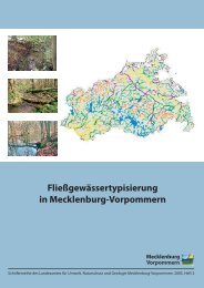 Fließgewässertypisierung in Mecklenburg-Vorpommern - WRRL MV