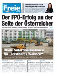 Der FPÖ-Erfolg an der Seite der Österreicher