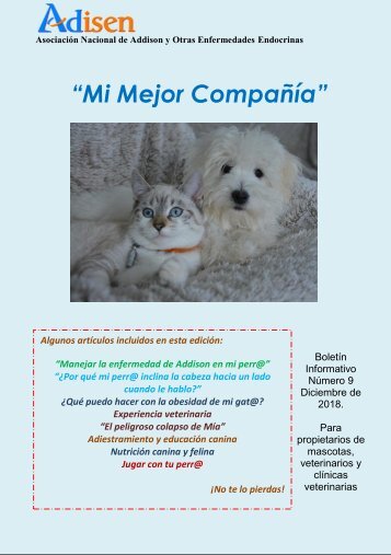 Mi Mejor Compañía. Revista de mascotas. Edición diciembre de 2018.
