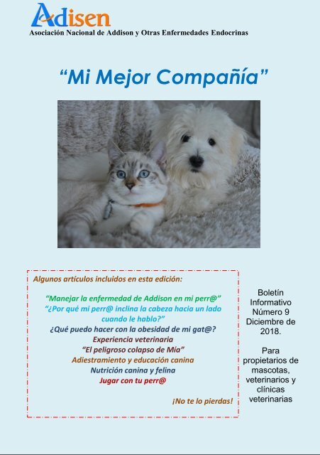 Mi Mejor Compañía. Revista de mascotas. Edición diciembre de 2018.