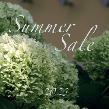 SUMMER SALE Juli 2023