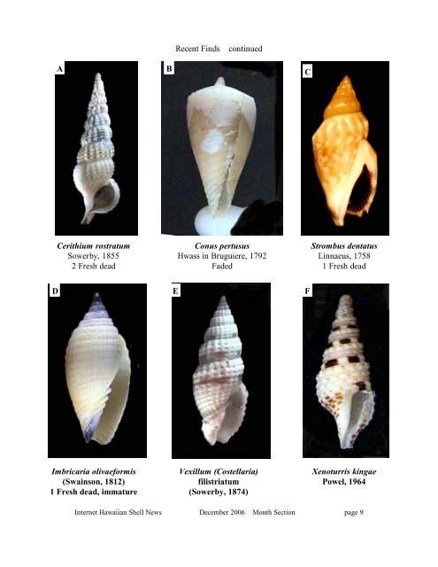 Mon - Internet Hawaiian Shell News