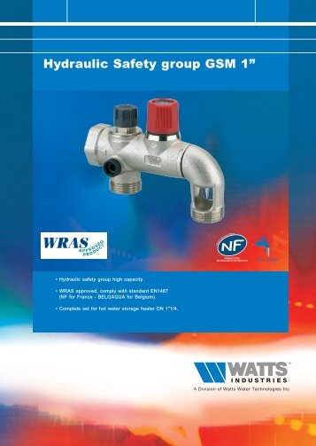 Hydraulic Safety group GSM 1” - Watts Industries