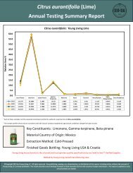 Lime Historical Testing  - Historical Data