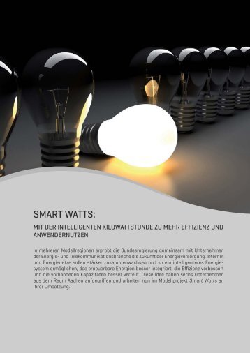 SMART WATTS: - Utilicount GmbH & Co. KG