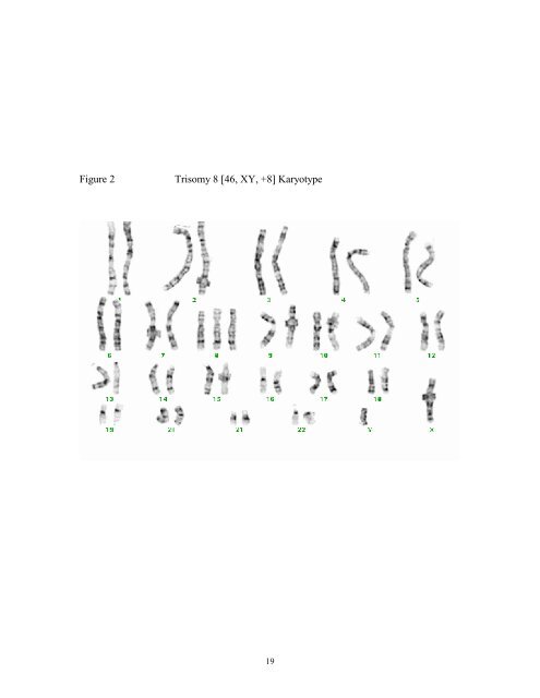 TRISOMY 8 MOSAICISM: CELL CYCLE KINETICS AND ...